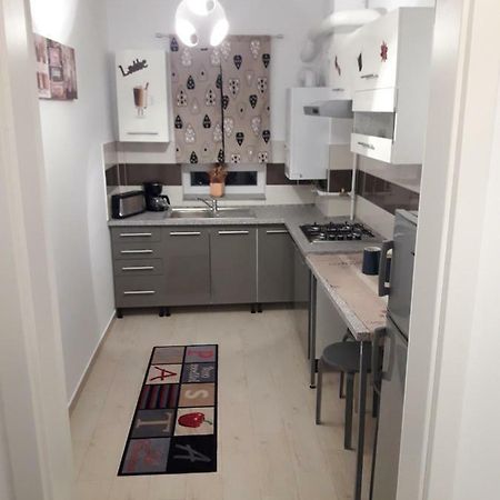 Apartament. Anida ブラショフ エクステリア 写真