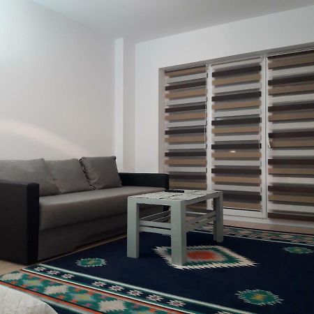 Apartament. Anida ブラショフ エクステリア 写真