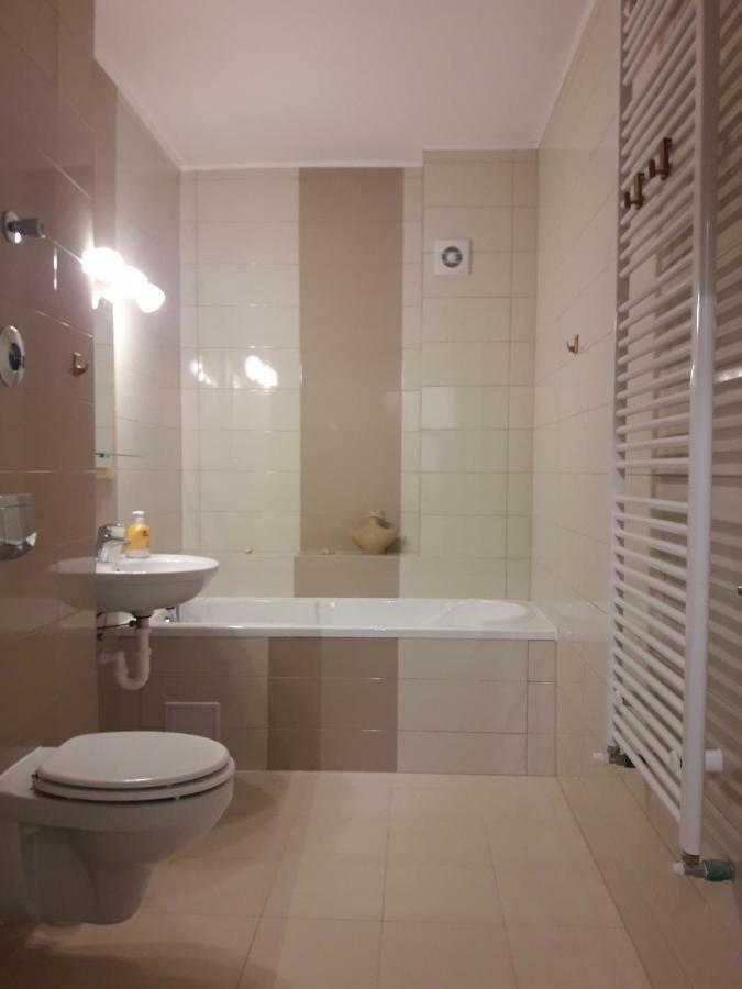 Apartament. Anida ブラショフ エクステリア 写真