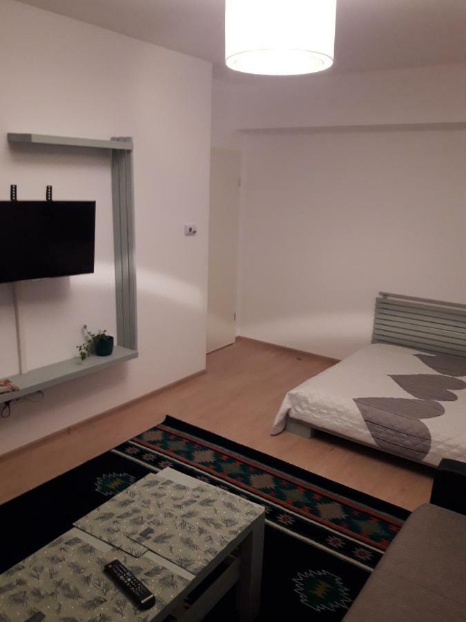Apartament. Anida ブラショフ エクステリア 写真