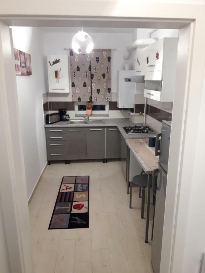 Apartament. Anida ブラショフ エクステリア 写真