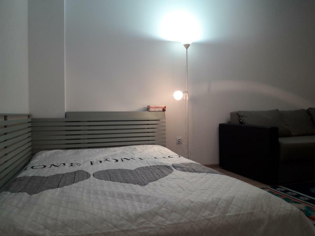 Apartament. Anida ブラショフ エクステリア 写真