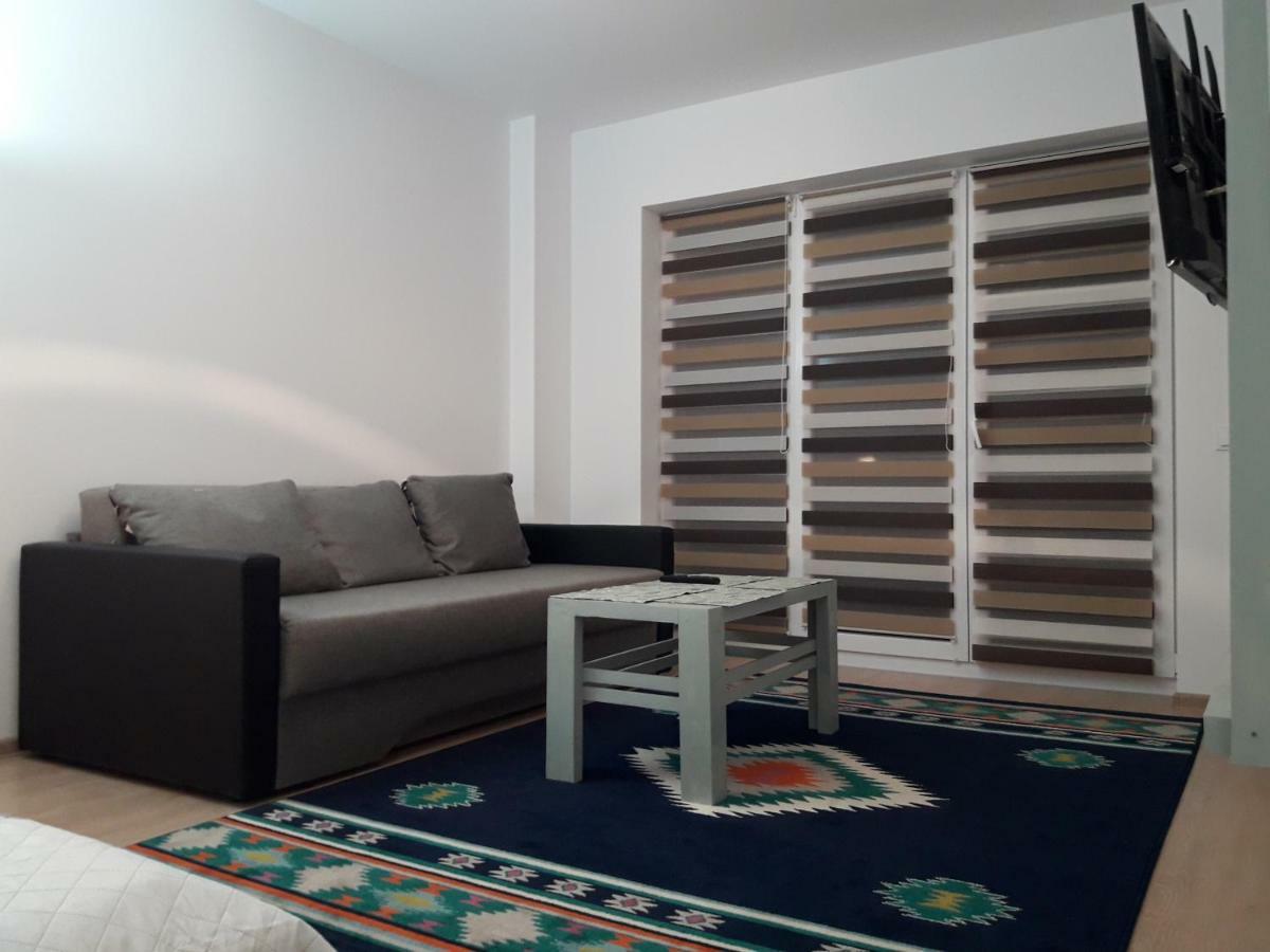 Apartament. Anida ブラショフ エクステリア 写真