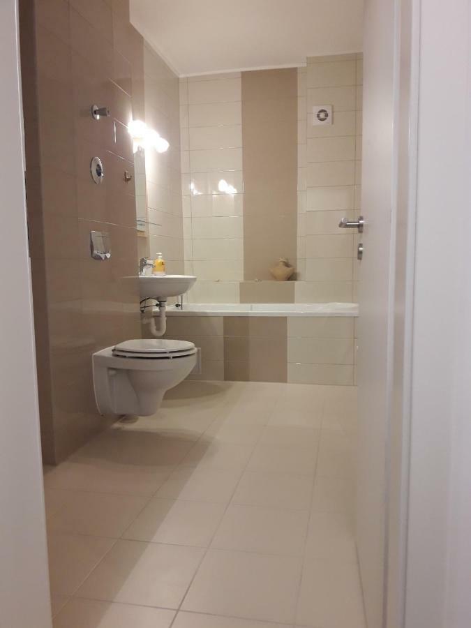 Apartament. Anida ブラショフ エクステリア 写真